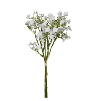 36cm-forget-me-not-bundle-white.jpg