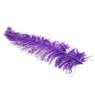 apac-purple-ostrich-feathers.jpg