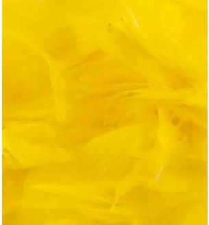 oaktree-3inch-5inch-50g-bag-yellow.jpg