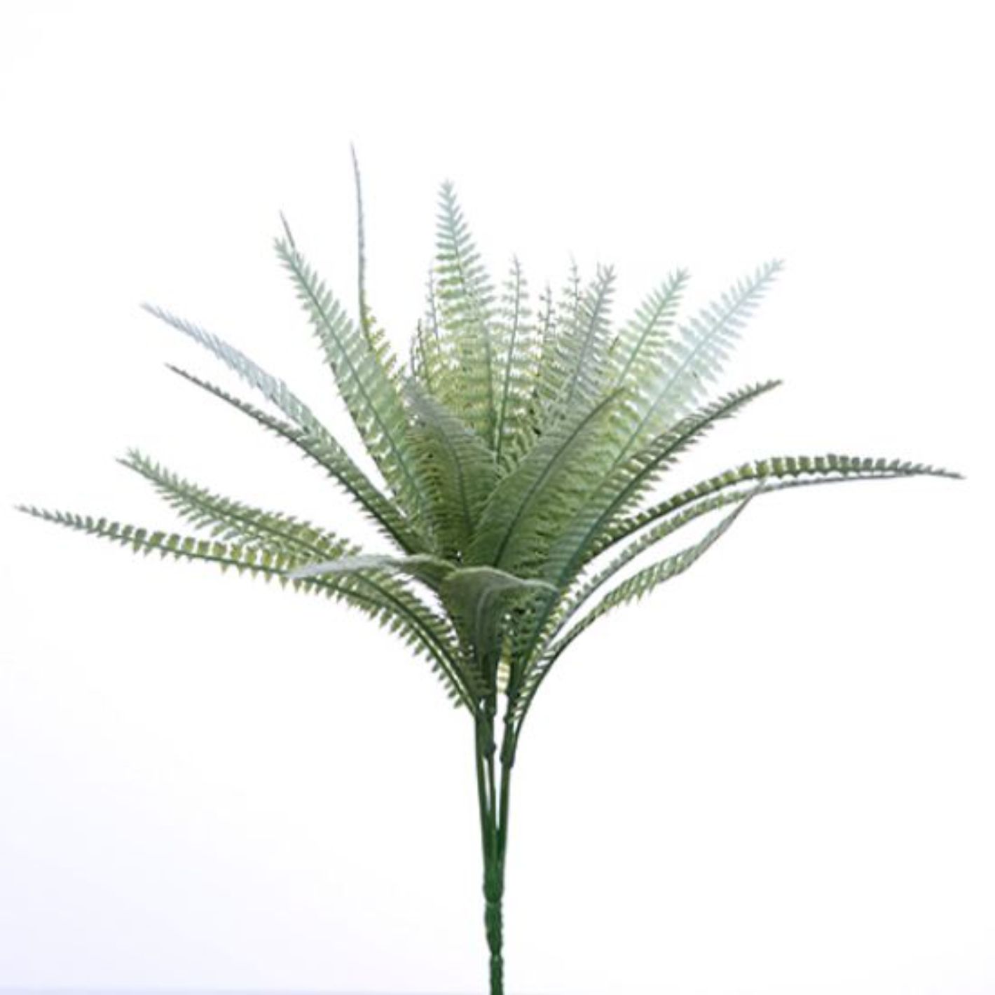 34cm Plastic Fern Bush Light Green