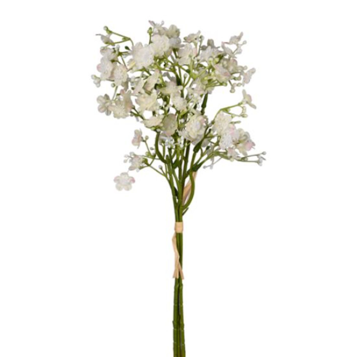36cm Forget Me Not Bundle Ivory