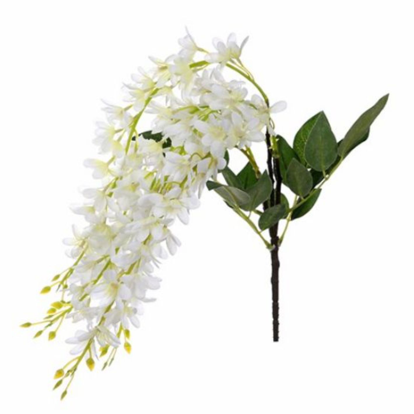 54cm Trailing Wisteria Ivory