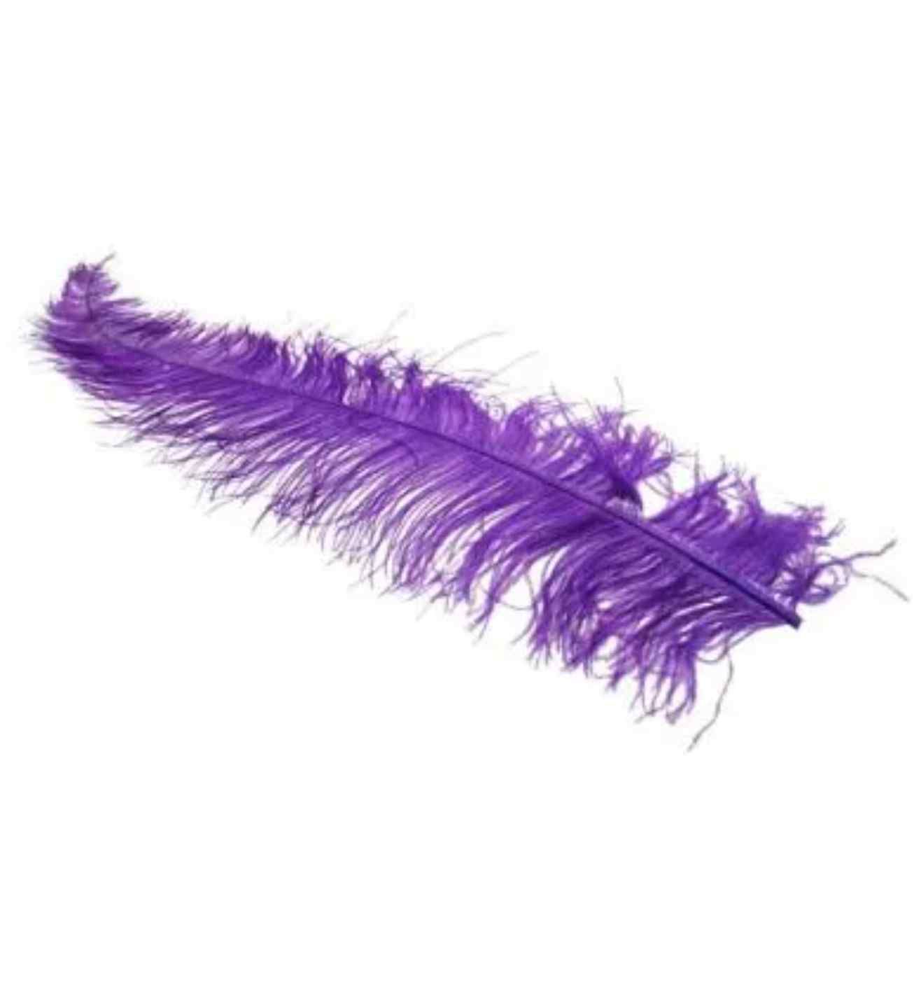 Ostrich Feathers Purple 5 Pack