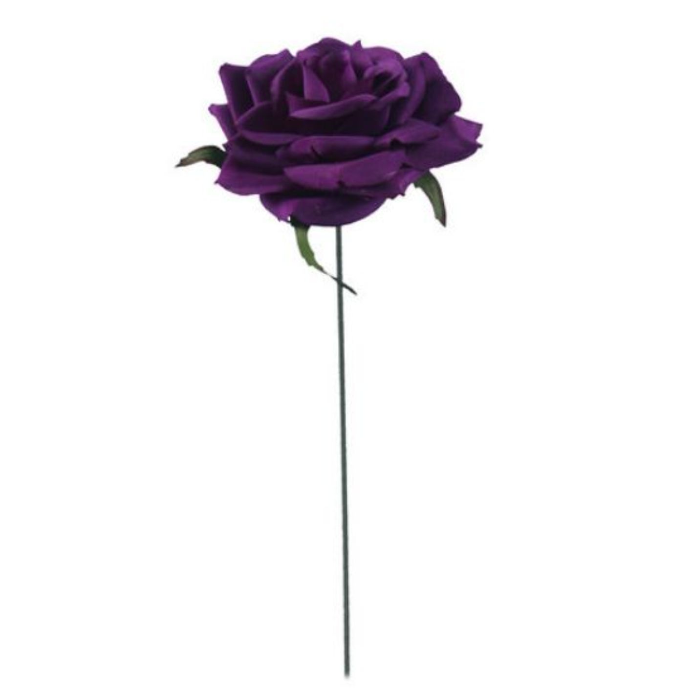 Curve Rose Cas Purple
