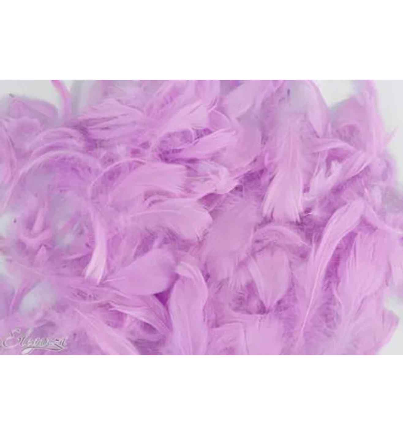 Eleganza Feathers Mixed Sizes Pastel Lavender - 50g