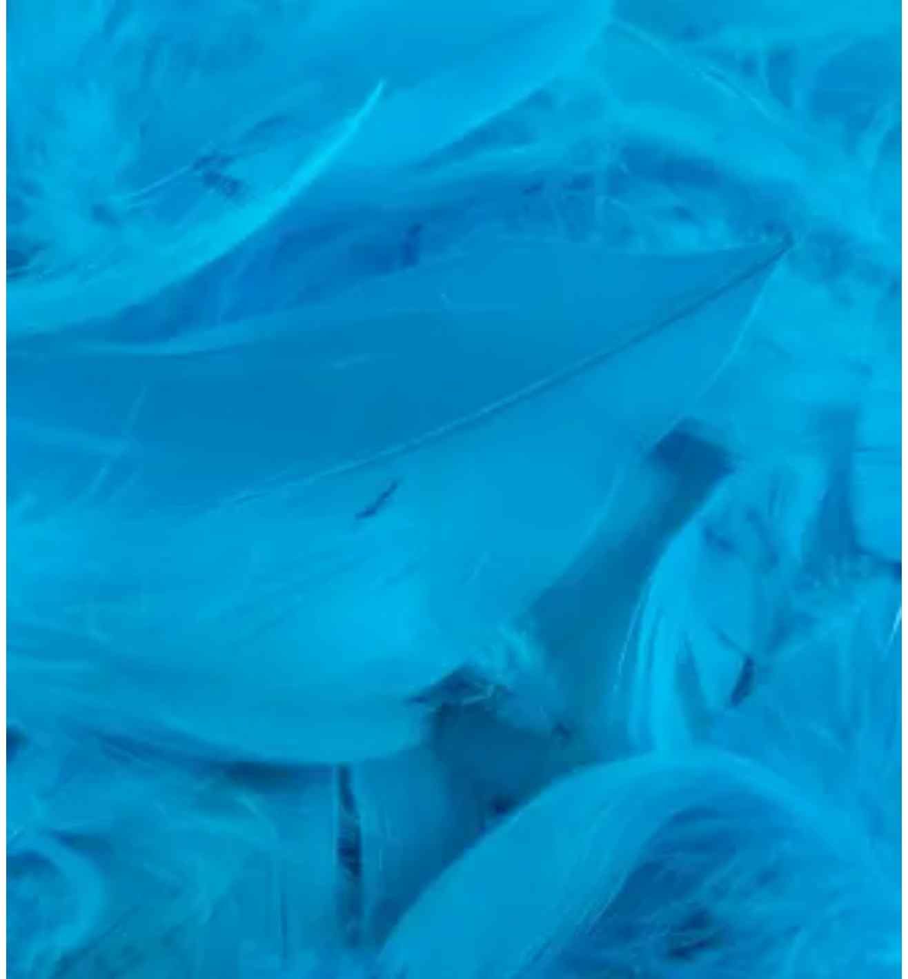 Eleganza Feathers Mixed Sizes Turquoise - 50g
