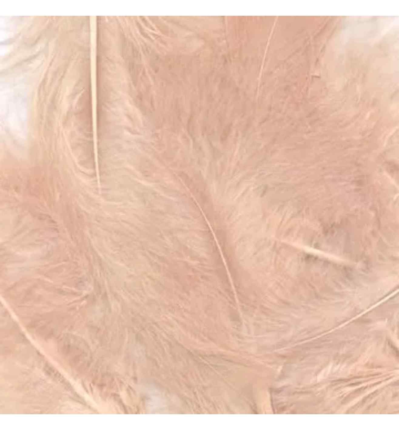 Eleganza Rose Gold Mixed Size Feathers - 8g