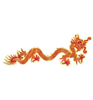 3ft-jointed-dragon
