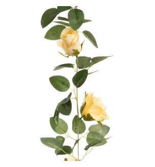 alice-rose-garland-heads-champagne-x11-heads