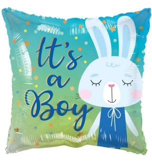 apac-its-a-boy-rabbit.jpg