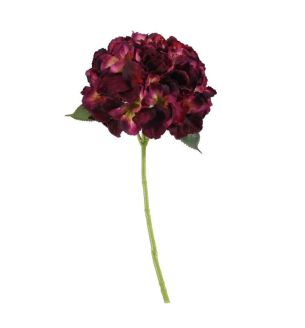 apac-short-stem-hydrangea-drk-purple-1-.jpg
