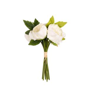 aurora-peony-white-bunch-x5-heads