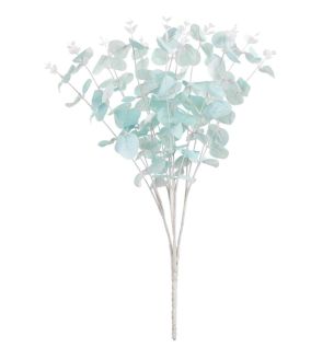 eucalyptus-bush-blue-x16