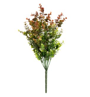 eucalyptus-bush-green-red-large-x9
