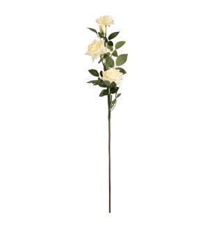 large-diana-rose-spray-cream-x5