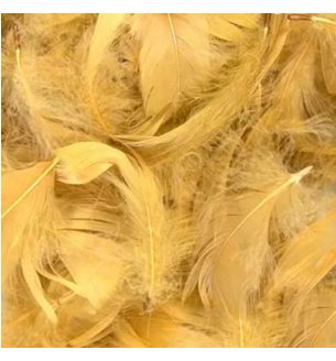 oaktree-3-5inch-50g-bag-gold.jpg