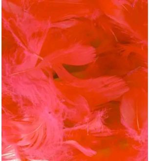 oaktree-3inch-5inch-50g-bag-red.jpg