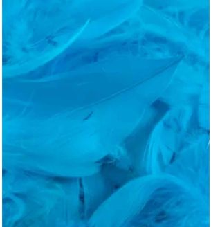 oaktree-3inch-5inch-50g-bag-turquoise.jpg