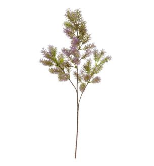 purple-foliage-spray-stem-72cm