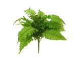 30cm Leafy Boston Fern Bush Green