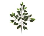 66cm Deluxe Ficus Branch (42 Leaves) x 12pcs