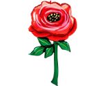 Painted Rose Multi Foil Balloon
