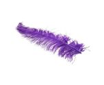 Ostrich Feathers Purple 5 Pack