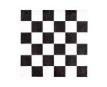 Racing Paper Napkins 20pcs