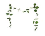 8ft Grape Leaf Garland Green x 5pcs