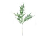 Flocked Asparagus Fern Spray Green