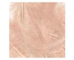 Eleganza Rose Gold Mixed Size Feathers - 8g